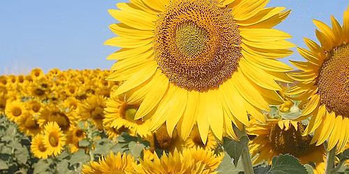 Lighthouse Summer Retreat 2026