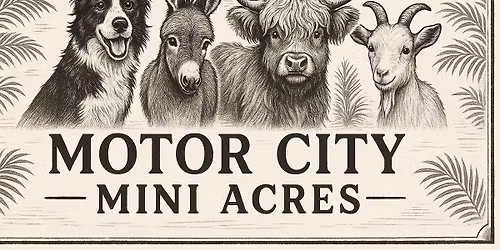 Mamas Mimosa\u2019s & Minis