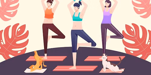 Kitten Yoga Class Fundraiser
