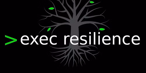 \u200bEngineering Leadership: Stress Resilience Engineering for Team Continuity