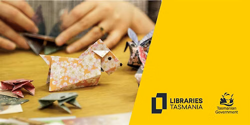 Wild Origami at Hobart Library
