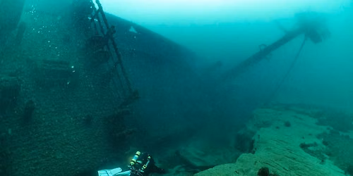 AM Individual \u2013 Wille (2 dives)