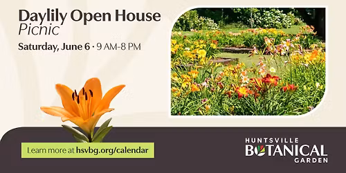 Daylily Open House Picnic