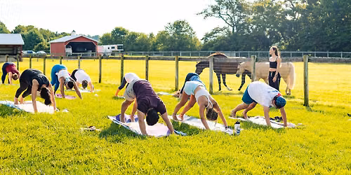 Yoga at Love Creek Farm