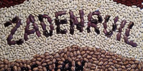 Zadenruilmarkt Hof van Wezel