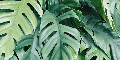 \u0424\u0435\u0441\u0442\u0438\u0432\u0430\u043b\u044c \u0413\u041e\u0420\u041e\u0414\u0421\u041a\u0418\u0415 \u0414\u0416\u0423\u041d\u0413\u041b\u0418