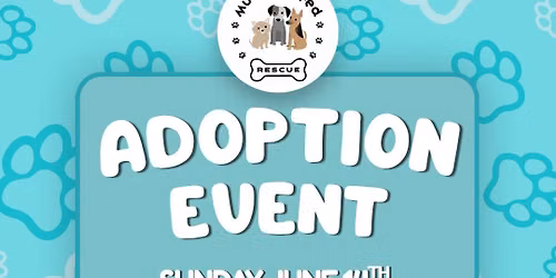 Dog Petting Party Adoption Event 