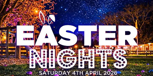 Kids Torch Lit Egg Hunt