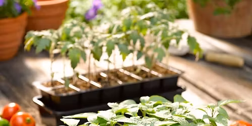 Kid's Produce Starter Swap \ud83d\udc69\u200d\ud83c\udf3e\ud83d\udc68\u200d\ud83c\udf3e & Market Crafts \ud83c\udfa8 Pay What You Can Event