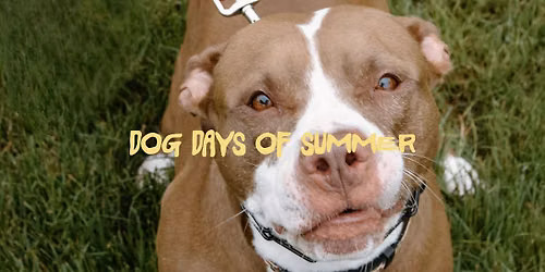 DOG DAYS OF SUMMER - Dog Themed Market at the Perrysburg Farmer's Market