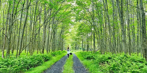 Mit Yoga in der Natur zu sich selbst finden