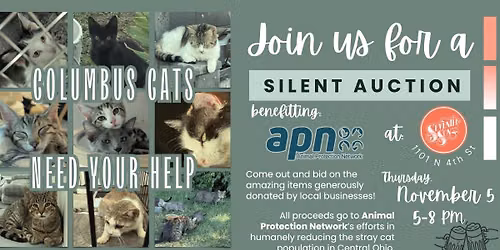 APN Silent Auction