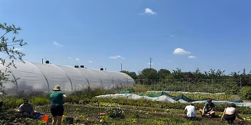 Introduction to Volunteering, 27th February - Grow Wilder, Food and Land Team