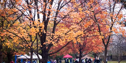 14th Annual Forte 5k Run\/Walk