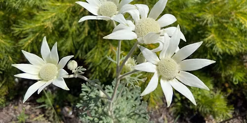 \ud83c\udf31 Saturday open day \ud83c\udf31