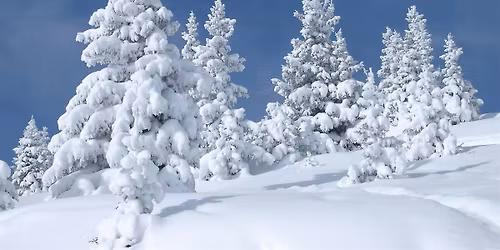 Winter Story Hour with Greening of Detroit