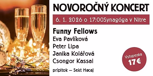 NOVORO\u010cN\u00dd KONCERT