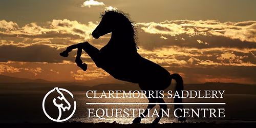 Summer Pony Camps