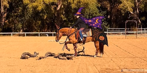 \ud83c\udf83\ud83d\udc7b HAUNTED HORSEMANSHIP: Tricks, Treats & Obstacles \ud83d\udc7b\ud83c\udf83