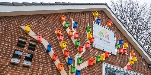 Re\u00fcnie Roelof Veldhuizen School, nu de Bloesem 50 jaar