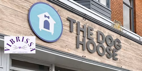 \ud83d\udc3e Vibrissa Pet Services at The Dog Hoose! \ud83d\udc3e