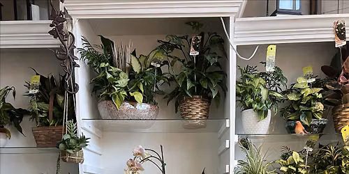 Plant Bingo with Village Flower Shop at Flight