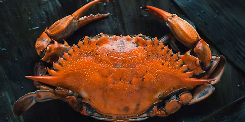 Unlimited Crab Boil - Purpose Brewing \/w Shell on Wheels