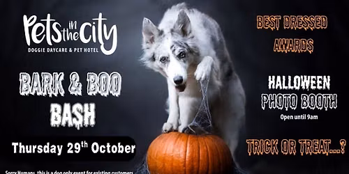 Haunted Howl\u2011O\u2011Ween Party 2026