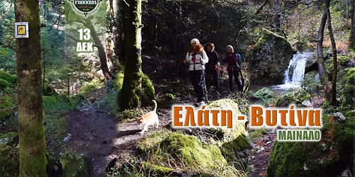 \u0395\u03bb\u03ac\u03c4\u03b7 \u2013 \u0392\u03c5\u03c4\u03af\u03bd\u03b1 | \u039c\u0391\u0399\u039d\u0391\u039b\u039f