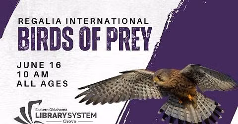 Regalia International Birds Of Prey