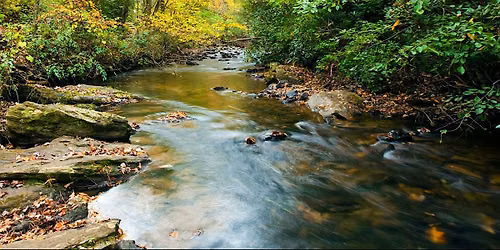 River Systems Field Class