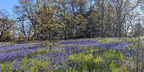 Garry Oak Ecosystem Restoration Project 2026