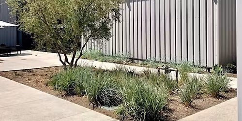 Creative Babe - \ud83c\udf84 Holiday \ud83c\udf85\ud83c\udffc Pop-Up Market @ Mess Hall Market