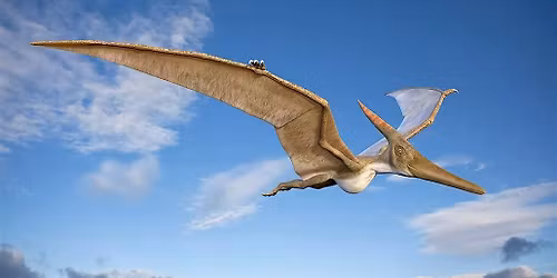 Soar with a Pterosaur!