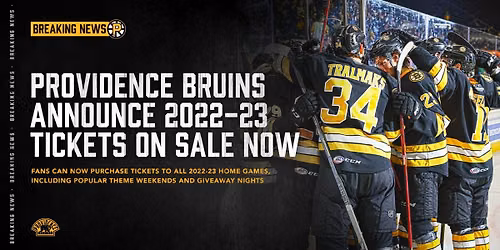 Providence Bruins at Rochester Americans at Blue Cross Arena
