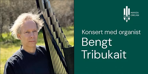 Julmusik p\u00e5 domkyrkans orglar