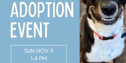 11\/9 Adoption Event at PetSmart Central Park
