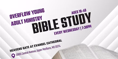 Young Adult Bible Study