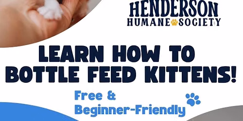 Bottle Feeding Basics for Kittens