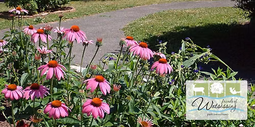 Watsessing Park Pollinator Festival