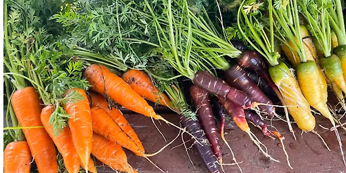 Magnolia Park and Community Garden Benefit Dinner with Halls Chophouse
