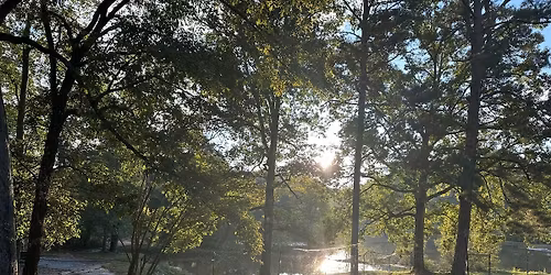 Wild Grace Fair & Show - Fundraiser at Wild Grace Sanctuary