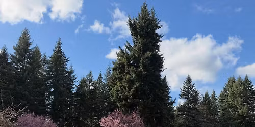 An afternoon with the class of 2015!