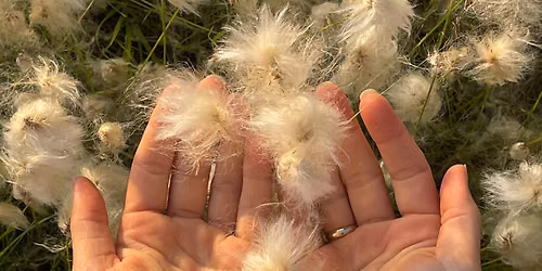 Craniosacral Therapy Practitioner Training in Norway