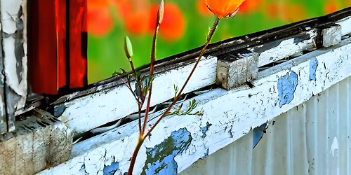 Mare Island Art Studios Spring Show