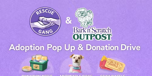 RG @ Bark \u2018N Scratch Outpost
