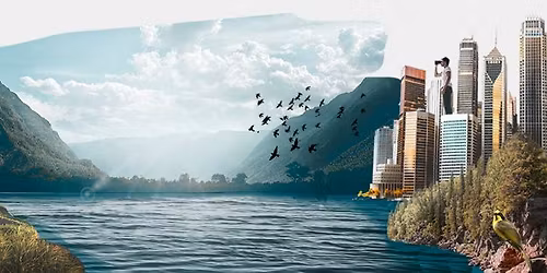 Mornington Racecource Market