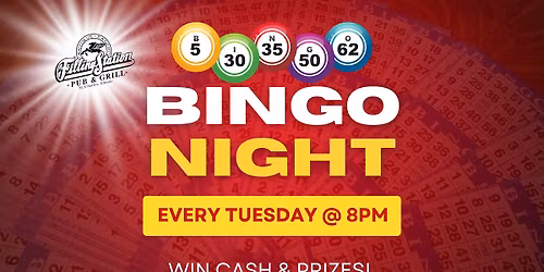 Bingo Night - Free Every Tuesday @ 8pm