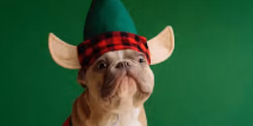 Good Elf bad elf coed sixes volleyball tournament