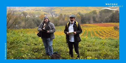 Von Fuchs-F\u00fcrzen, Burgen und W\u00fcrgeschlangen